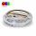 LED Strip Pro 24V SMD5050 19,2Watt/M, 60LEDs/m CRI80 5m Rolle 12mm breit | RGB + 2700-4000K