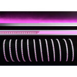 Deko-Light, Stripe, Standard, SMD, 24V-11W, RGB, 5m, Lichtstrom 1m: 500 lm, Spannungskonstant, Leistungsaufnahme 1m: 11.0 W, 5000 mm, IP 20