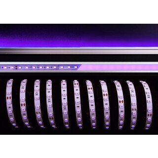 Deko-Light, Stripe, 5050-60-24V-violett-5m, Lichtstrom 1m: 3 lm, Spannungskonstant, Leistungsaufnahme 1m: 10.0 W, 5000 mm, Energieeffizienzklasse: G, IP 20