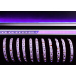 Deko-Light, Stripe, 5050-60-24V-violett-5m, Lichtstrom...